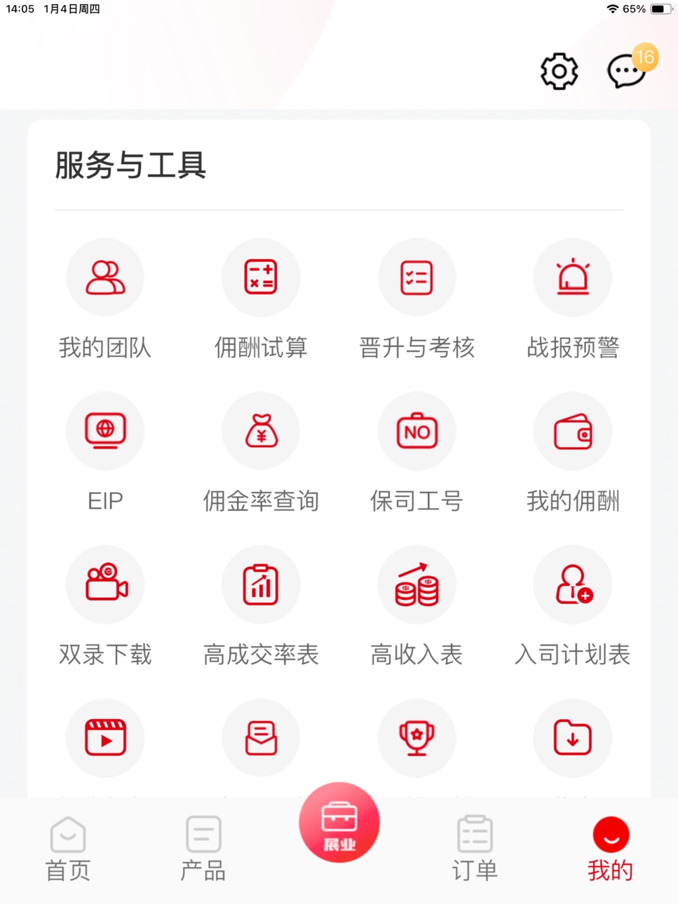 iPad screenshot