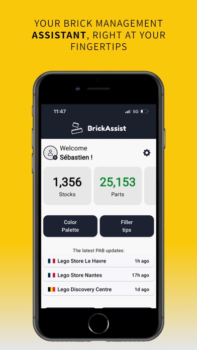 BrickAssist Screenshot
