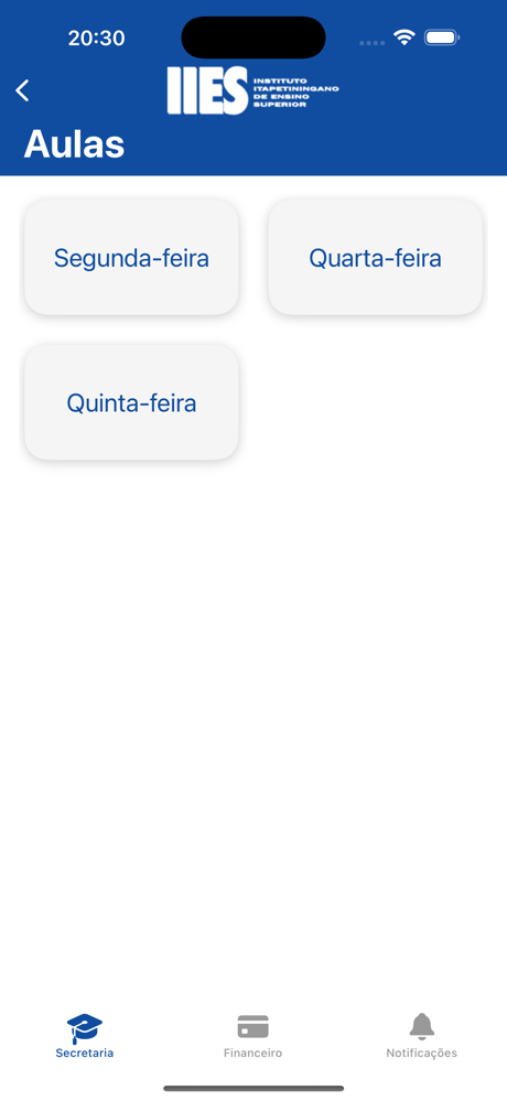 Iies screenshot 3