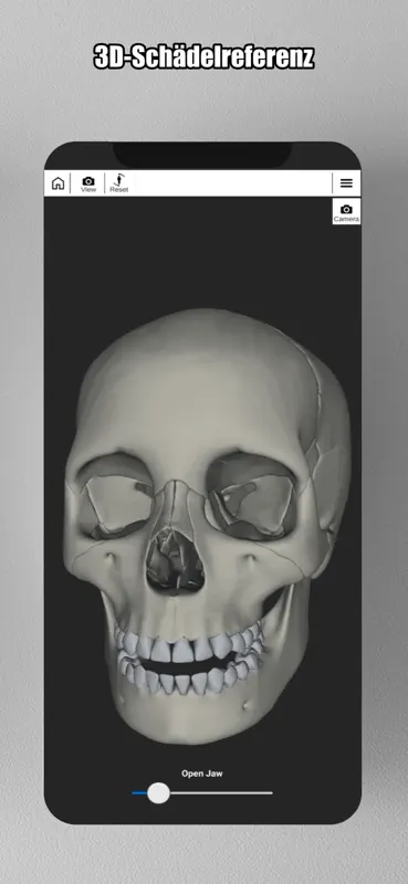 Face Model: 3D Head Reference screenshot 6 of 9