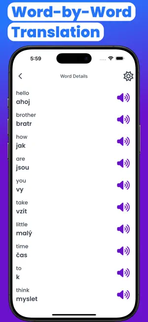 Czech-English Translator screenshot 2
