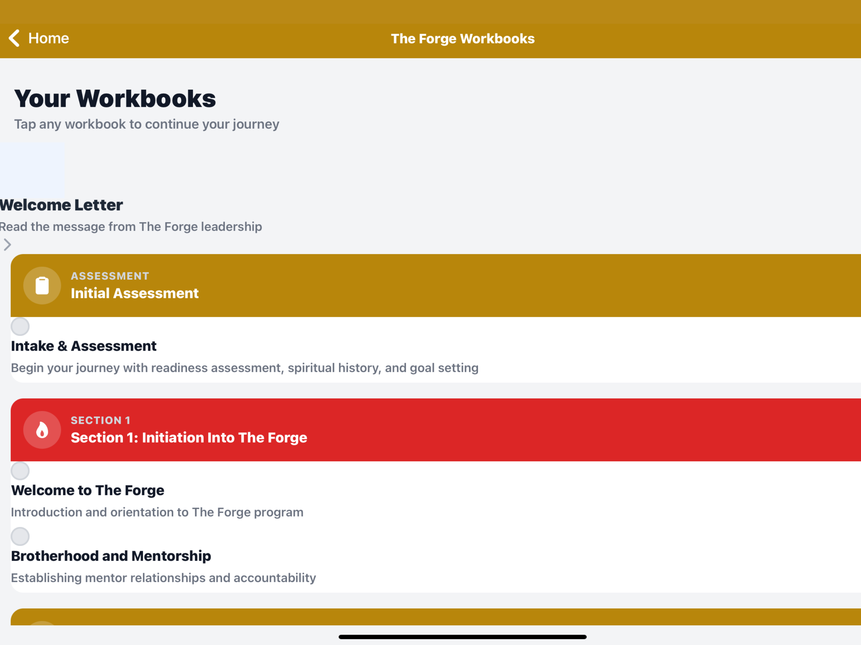 Theosis Foundation Workbook screenshot 4