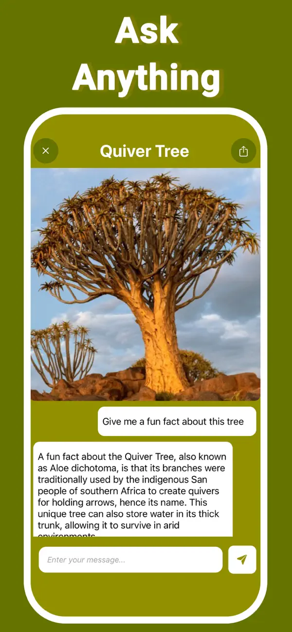 Treelogy screenshot 6