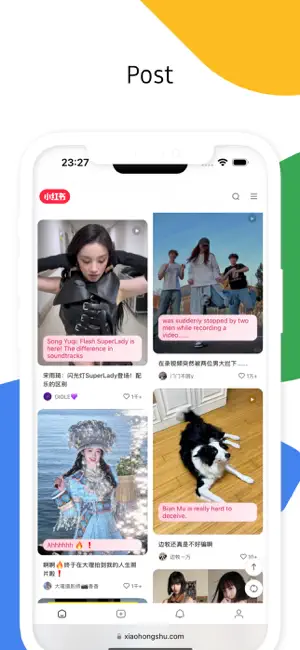 BilangPage: Bilingual Webpage screenshot 1