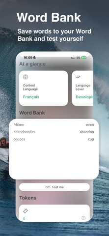 Otto - Language on your level screenshot