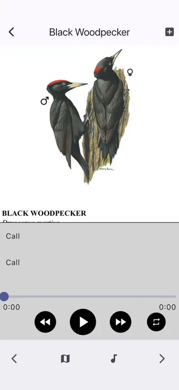 Birds of Western Palearctic screenshot 5 of 8