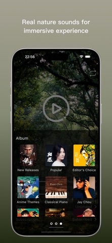 Rainlane - Piano & Ambience iPhone screenshot