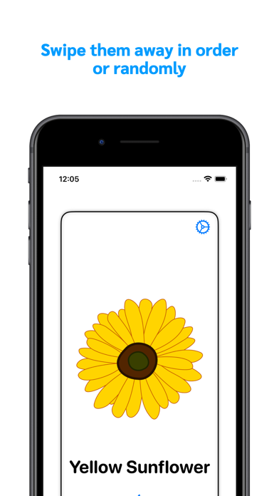 Color Flash Cards for Kids Screenshot