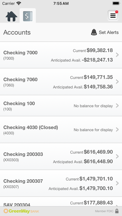 GreenWay Bank Business Screenshot