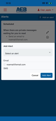 App screenshot