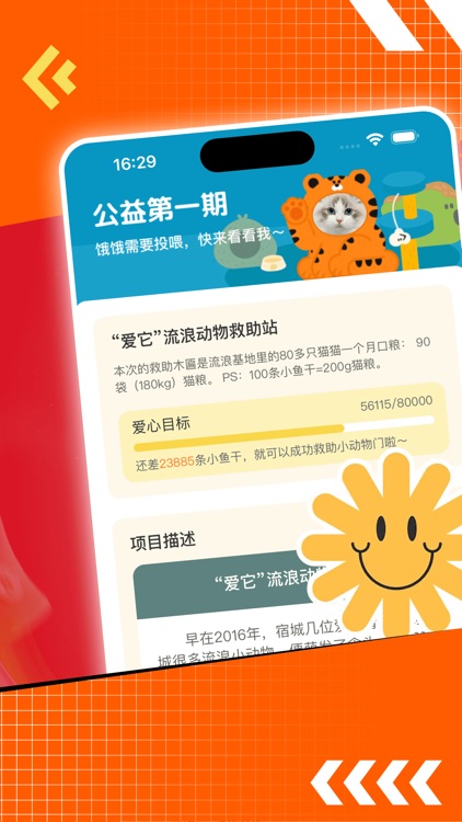 喵缘记