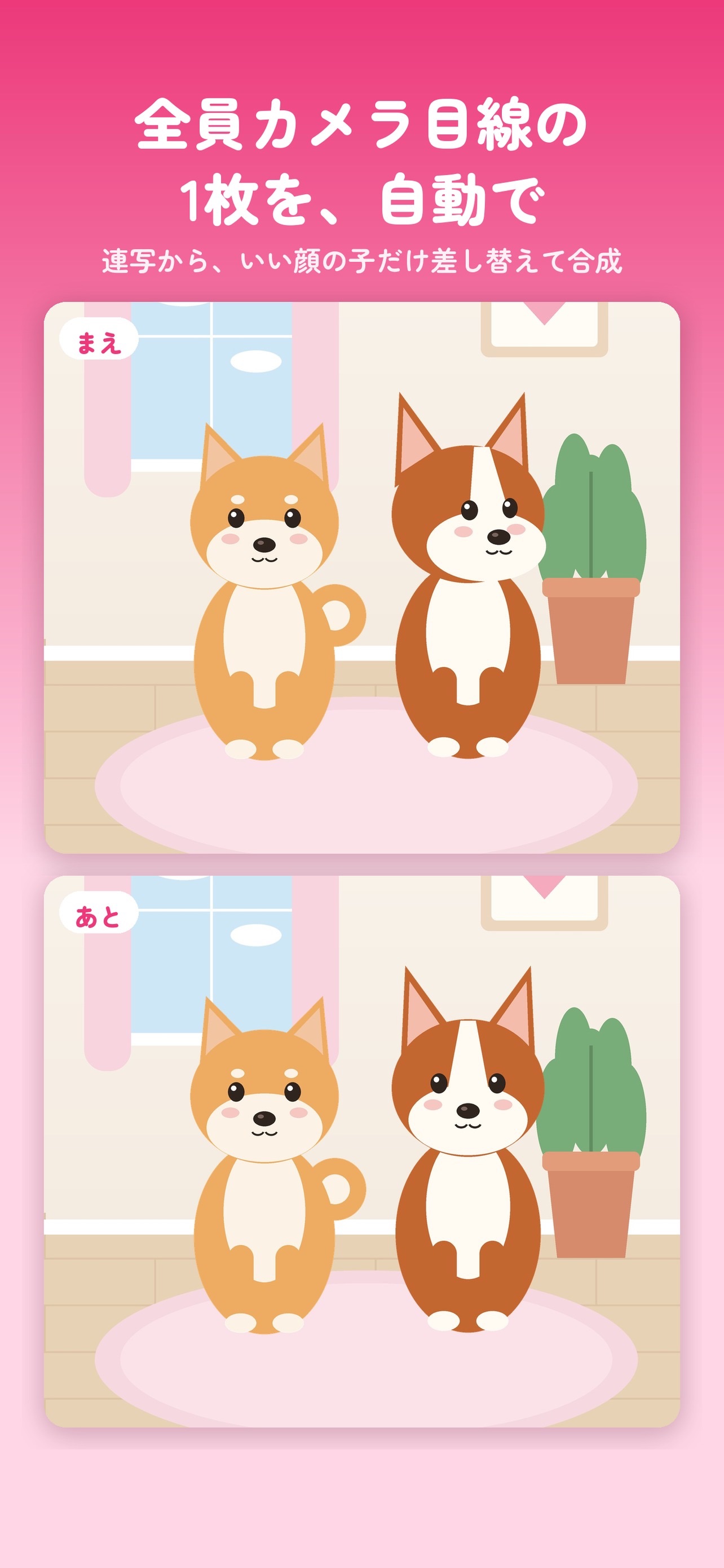 Screenshot 1 of Dog Focus - 愛犬の連写カメラ