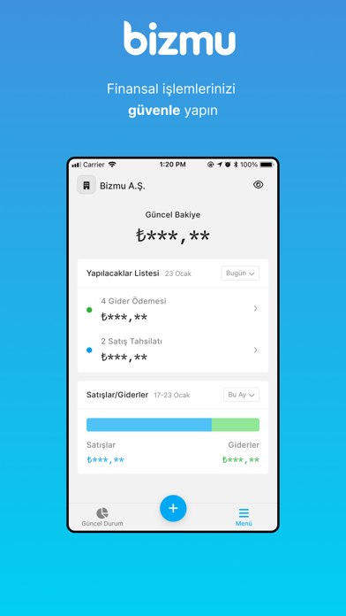 Bizmu Screenshot