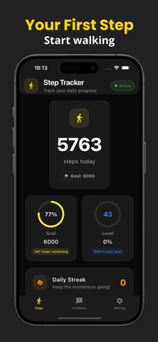 Leveling Steps: Pedometer Screenshot 4 of 6