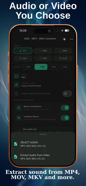 M4A to MP3 WAV Converter screenshot 2