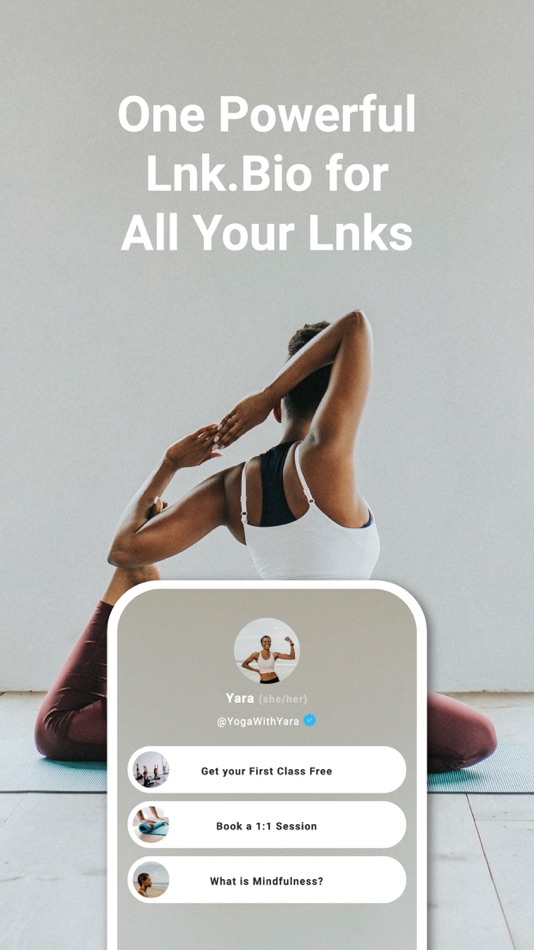 #1. Lnk.Bio - Link in bio (iOS) 由: Gimucco Pte. Ltd.