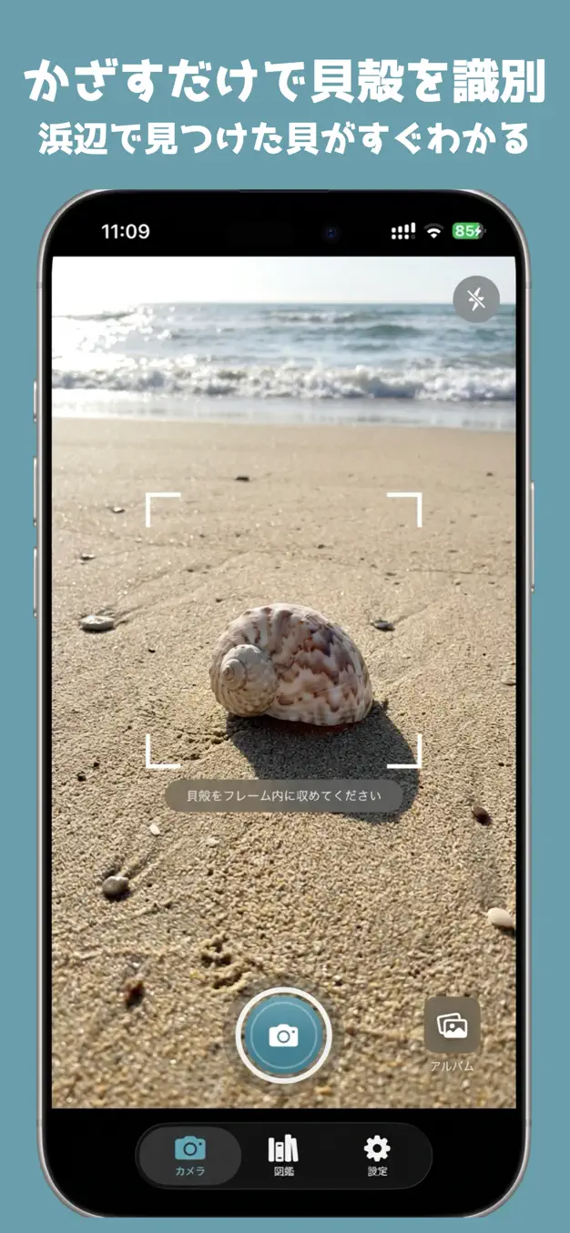 ShellLens - 貝殻AI図鑑 スクリーンショット 1