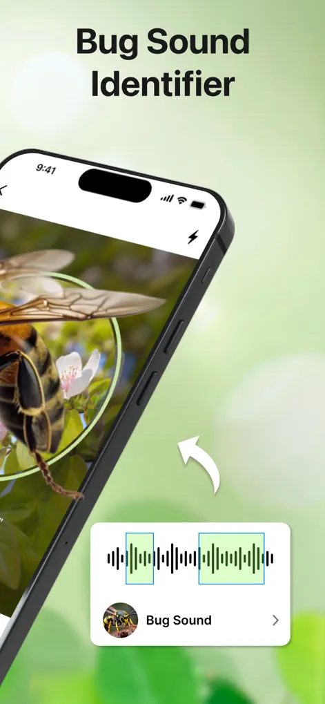 Bug Sound Identifier Insect ID - Utilities App | MWM
