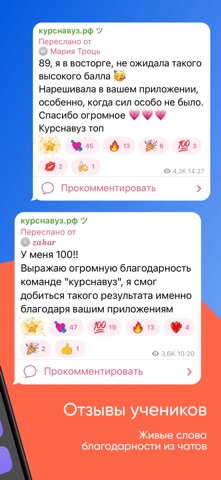 ЕГЭ Русский Язык screenshot