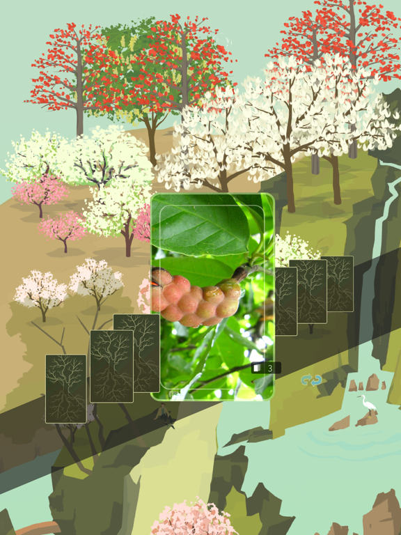 Farmer And Tree
