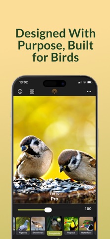 Birder Camera by Radiant Photo screenshot