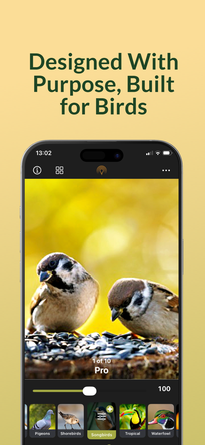 Birder Camera by Radiant Photo