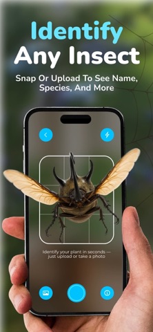 Insect Identifier - BugWise screenshot