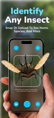 Insect Identifier - BugWise screenshot 1