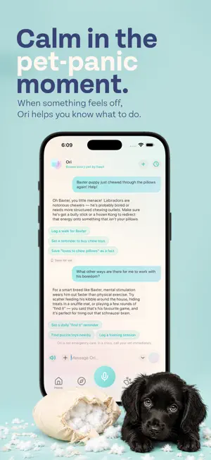 Ori - Your AI Pet Companion screenshot 2