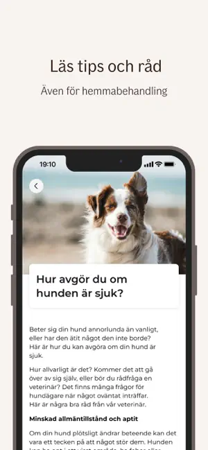 If Djurhjälpen iPhone screenshot 5