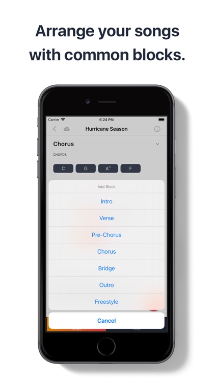 Songwriter Pro: Lyric Studio screenshot-3