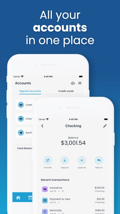 Budget & Bill Organizer: NEKO