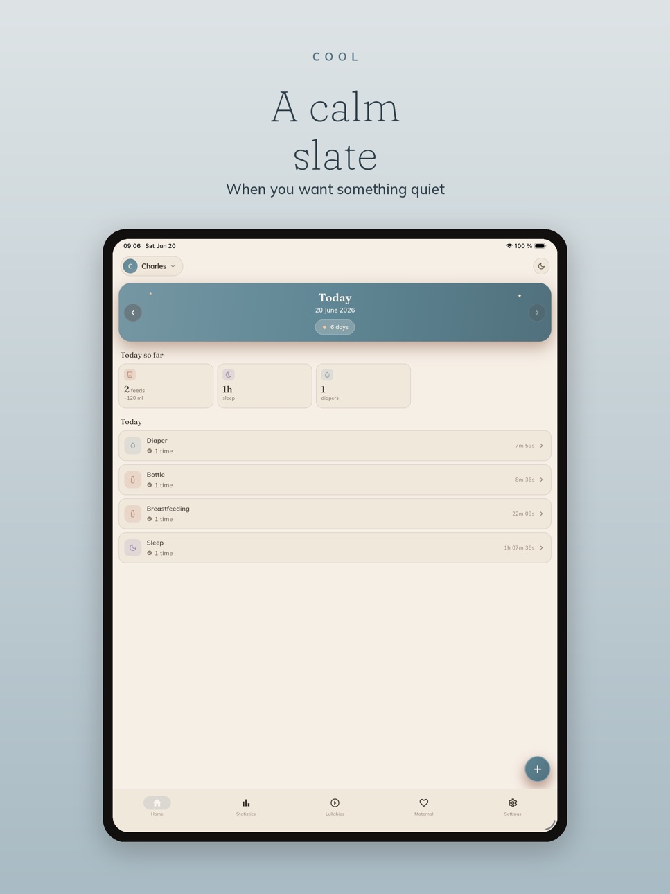 iPad screenshot