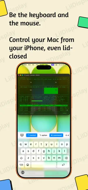 LilDisplay screenshot 3
