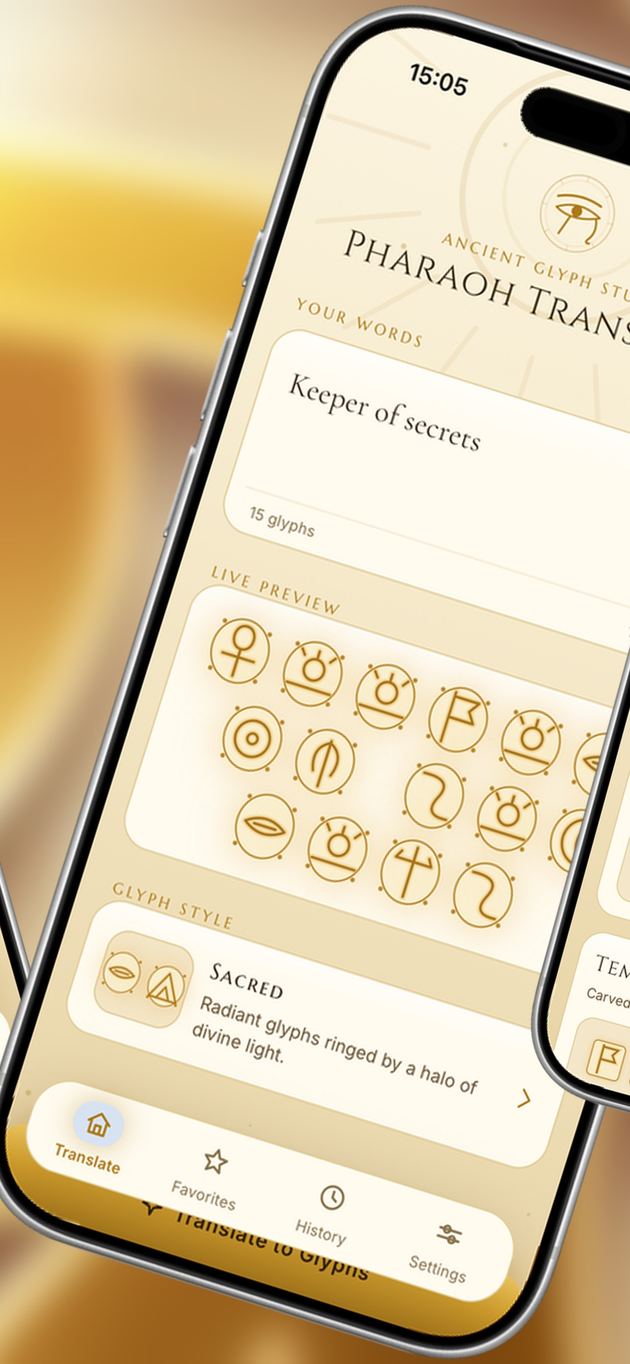 PharaohTranslator screenshot 7