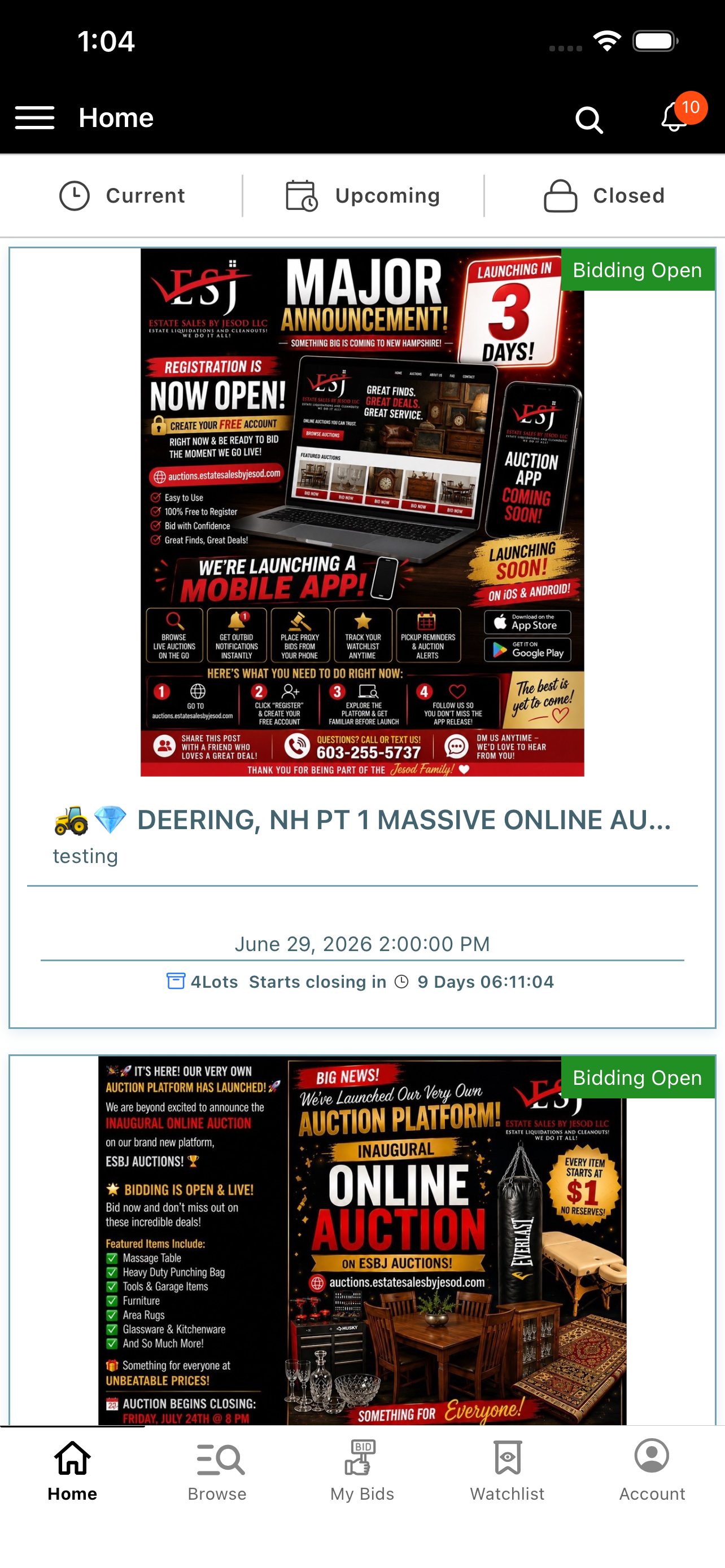 ESBJ Auctions screenshot 2