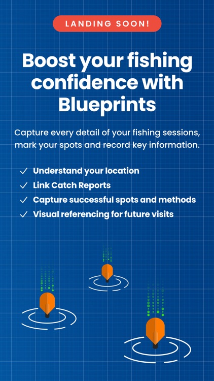 Go Catch Fish screenshot-4