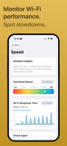 Netsbee: Wi-Fi Security screenshot