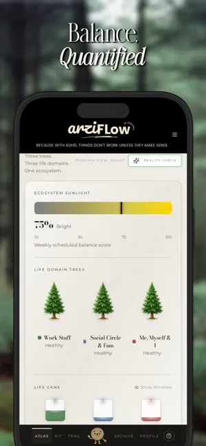ArziFlow screenshot 2