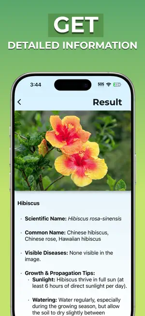 Plant Identifier : PlantWhiz screenshot 4