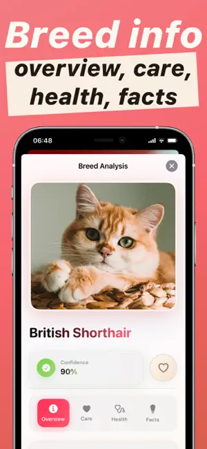Cat Breed Identifier: Kityko screenshot 2