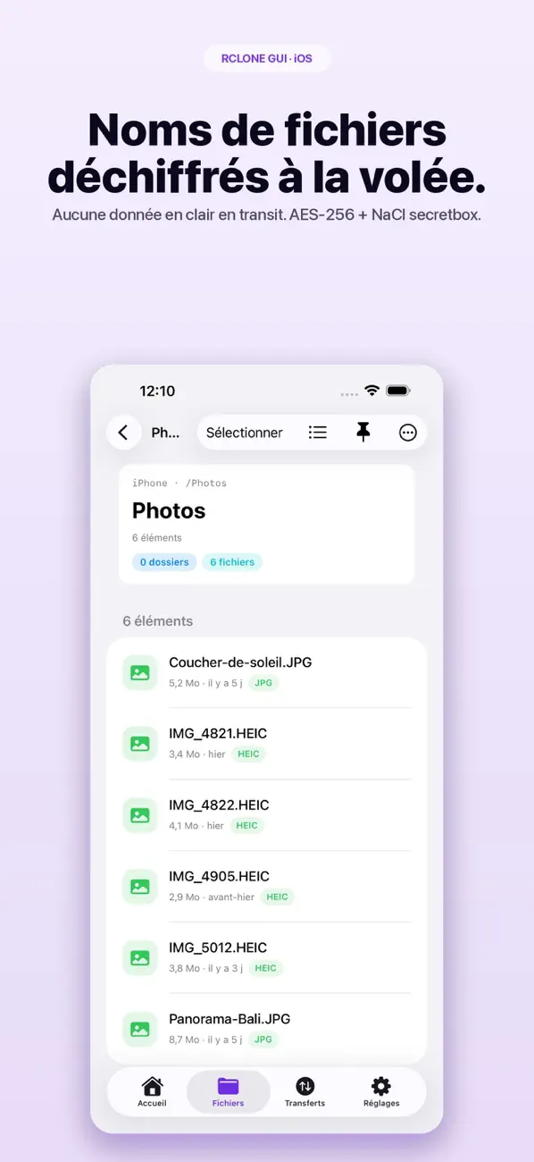 Screenshot #3 pour Rclone GUI