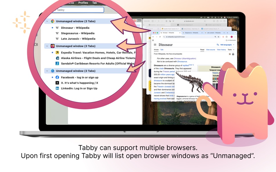 #2. Tabby - Browser Tab Manager (macOS) 由: Fischnet Solutions, Inc.