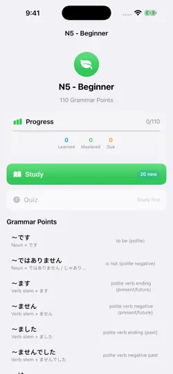 Screenshot von JLPT Studio Grammar auf dem iPhone 2