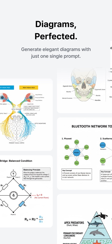 GPAI: AI STEM Copilot - Nutzer können eine breite Palette an professionellen Diagrammen erstellen, von der detaillierten Darstellung des 'visuellen Feldes des Auges' bis hin zu technischen Skizzen wie der 'Wheatstoneschen Brücke', die komplexe Ideen klar vermitteln.