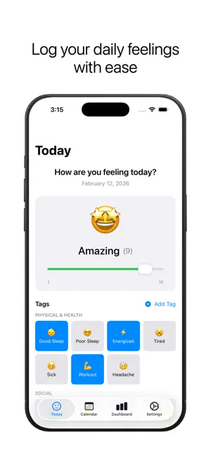 Daily Feels - Private Mood Log screenshot 1