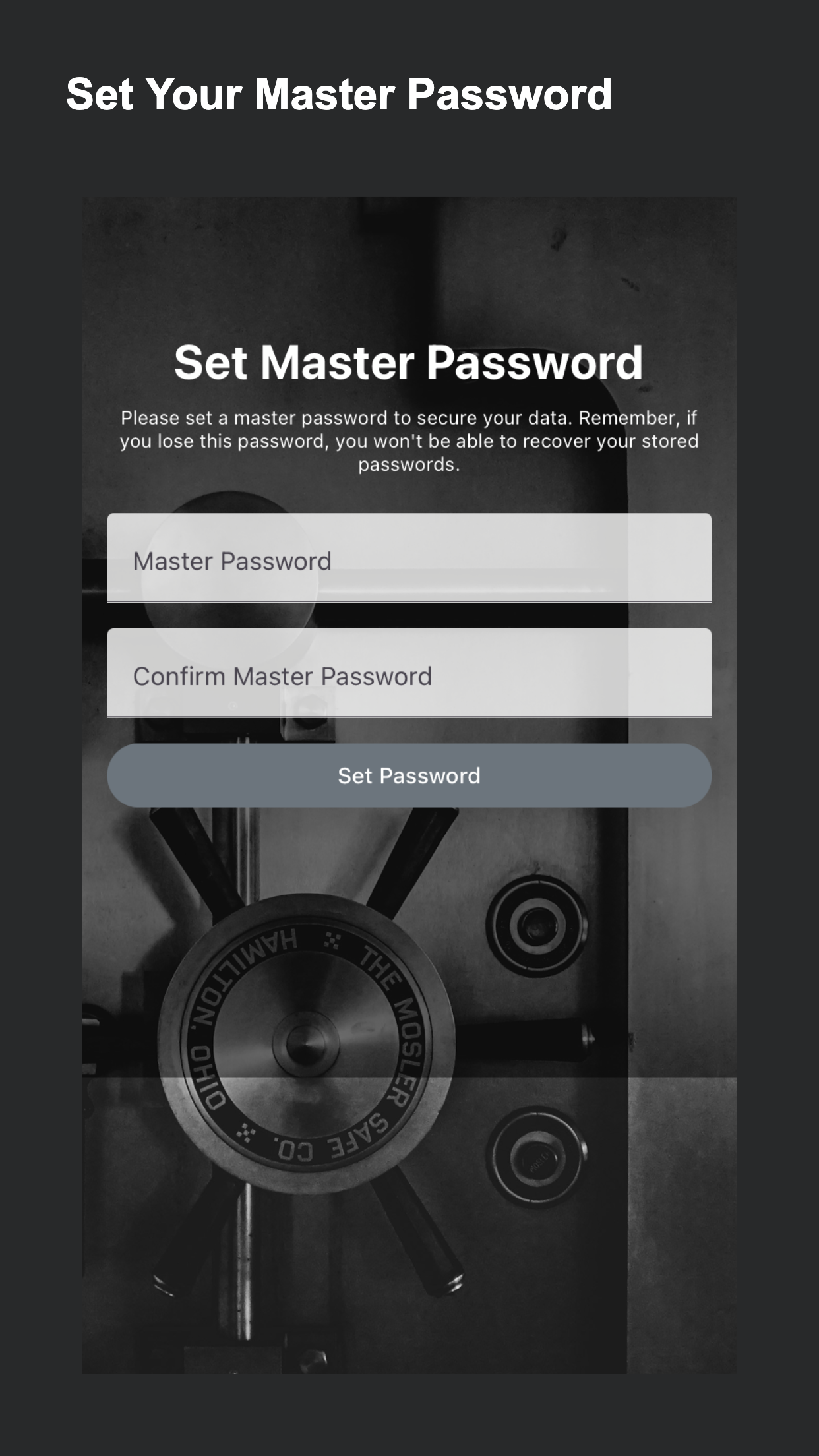 SecureVault Password Vault