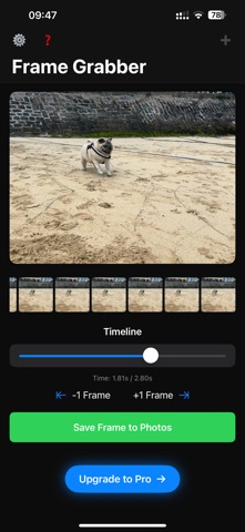 Video Frame Pro: Export Photos iPhone screenshot