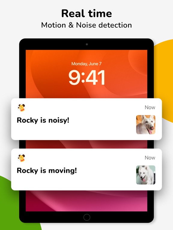 Barkio: Dog Monitor & Pet Cam iPad screenshot 5 - Lifestyle app