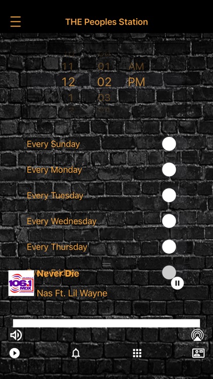 MDX Radio screenshot-3